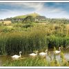 GC5 Glastonbury Tor